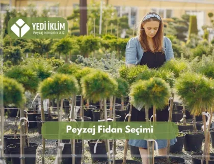 Peyzaj Fidanı Seçimi
