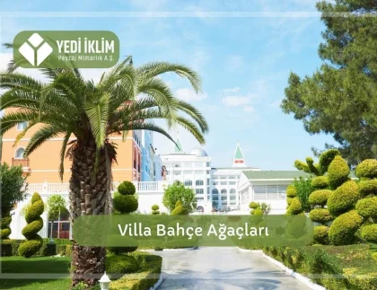 Villa Bahçe Ağaçları