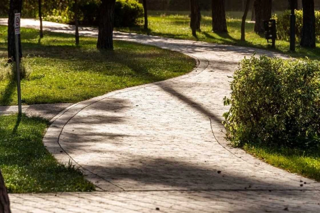 yürüyüş yolu