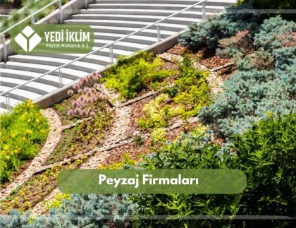 Peyzaj Firmaları