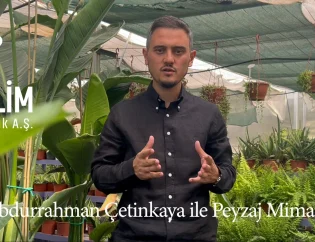 Peyzaj Mimarlığı