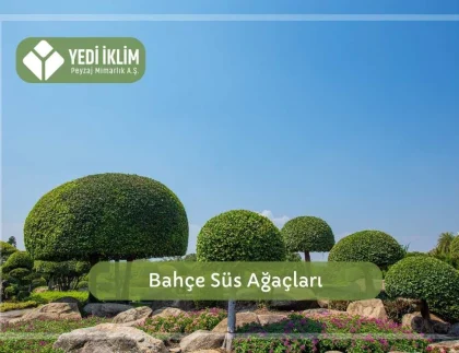 Bahçe Süs Ağaçları