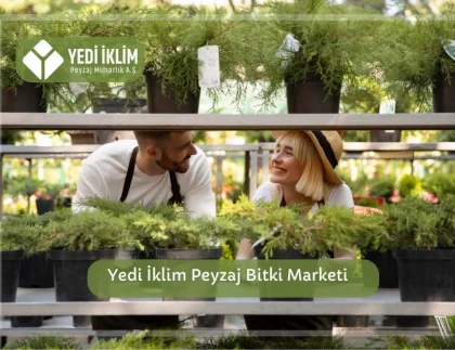 Yedi İklim Peyzaj ile Bitki Marketi
