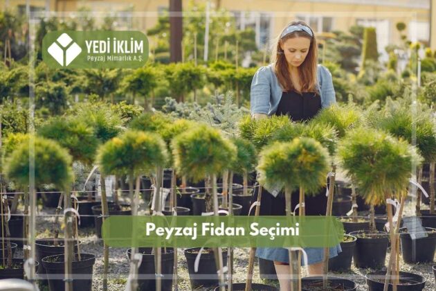Peyzaj Fidan Seçimi