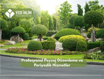 Profesyonel Peyzaj Düzenleme ve Periyodik Hizmetler