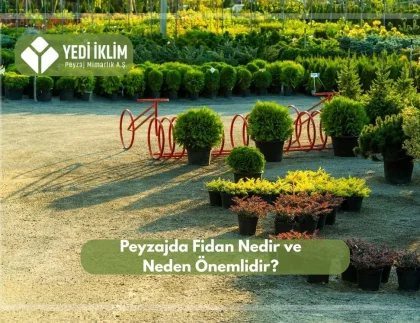 Peyzaj Fidanı Nedir ve Neden Önemlidir?