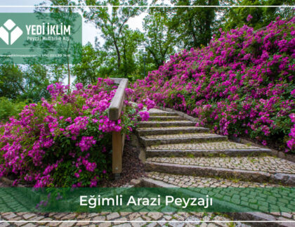 Eğimli Arazi Peyzajı