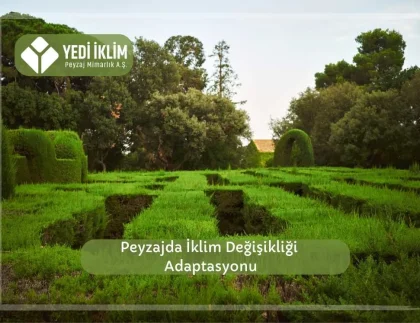 Peyzajda İklim Değişikliği Adaptasyonu