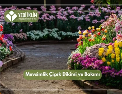 Mevsimlik Çiçek Dikimi ve Bakımı