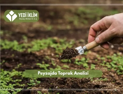 Peyzajda Toprak Analizi