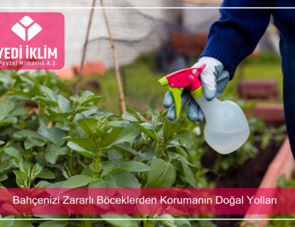 bahcenizi-zararli-boceklerden-korumanin-dogal-yollari