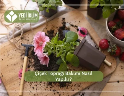 Çiçek Toprağı Bakımı Nasıl Yapılır?
