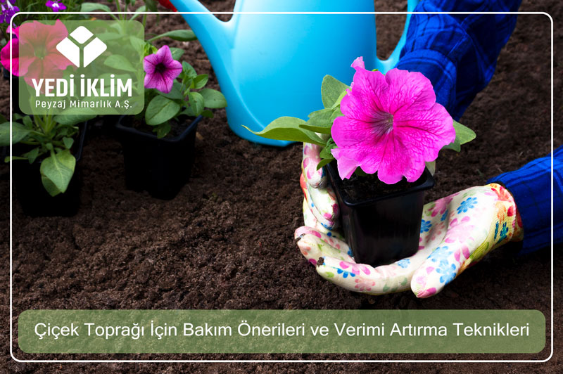 cicek-topragi-icin-bakim-nasil-yapilir