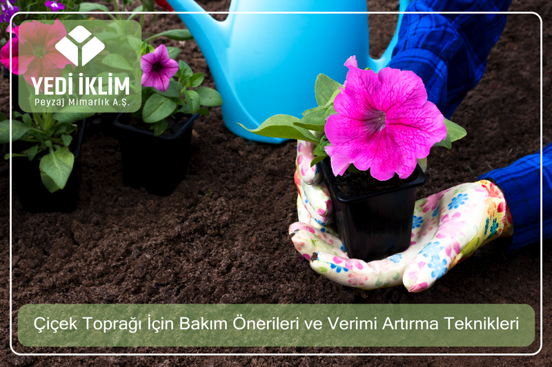 cicek-topragi-icin-bakim-onerileri-ve-verimi-artirma-teknikleri