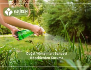 Doğal Yöntemlerle Bahçeyi Böceklerden Koruma
