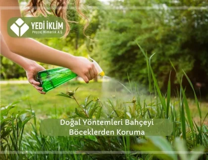 Doğal Yöntemlerle Bahçeyi Böceklerden Koruma