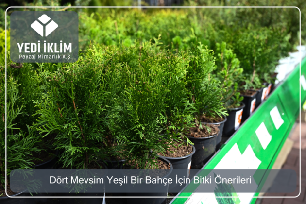 dort-mevsim-yesil-bahce-icin-bitki-onerileri