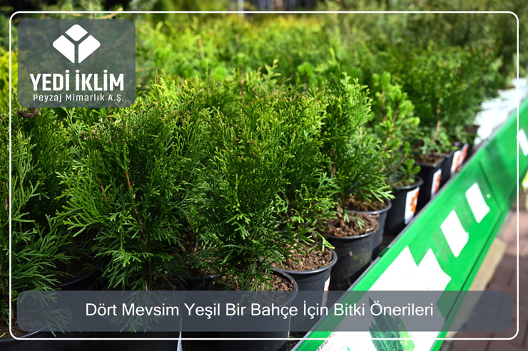 dort-mevsim-yesil-bahce-icin-bitki-onerileri