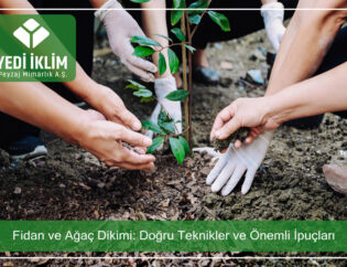 fidan-ve-agac-dikimi-dogru-teknikler-ve-onemli-ipuclari