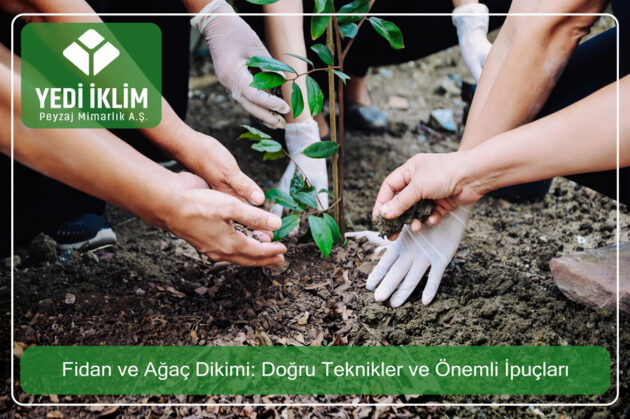 fidan-ve-agac-dikimi-dogru-teknikler-ve-onemli-ipuclari