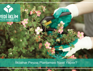 ilkbahar-peyzaj-planlamasi-nasil-yapilir