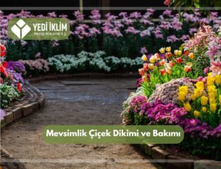 Mevsimlik Çiçek Dikimi ve Bakımı