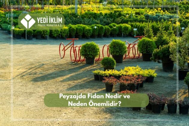 Peyzaj Fidanı Nedir ve Neden Önemlidir?