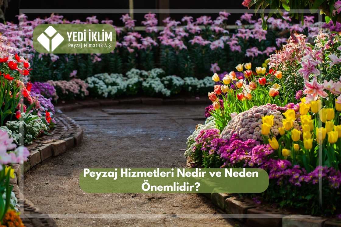 Peyzaj Hizmetleri Nedir ve Neden Önemlidir?