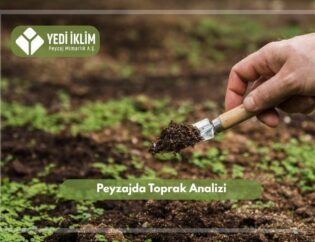 Peyzajda Toprak Analizi