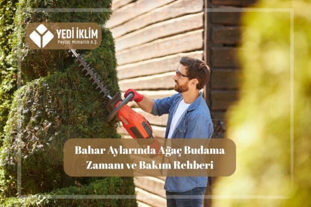 Bahar Aylarında Ağaç Budama Zamanı