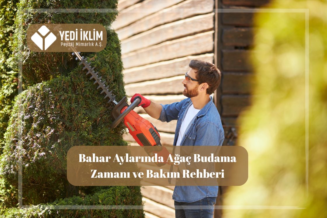 Bahar Aylarında Ağaç Budama Zamanı
