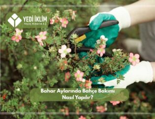 Bahar Aylarında Bahçe Bakımı Nasıl Yapılır?
