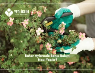 Bahar Aylarında Bahçe Bakımı Nasıl Yapılır?