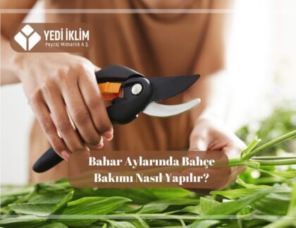 Bahar Aylarında Bahçe Bakımı Nasıl Yapılır?