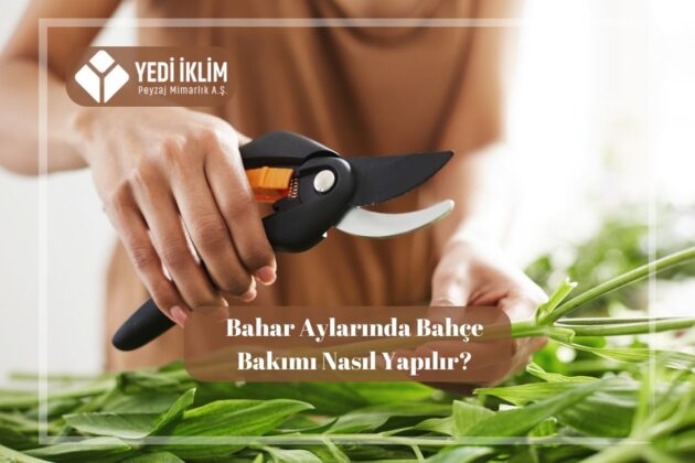 Bahar Aylarında Bahçe Bakımı Nasıl Yapılır?