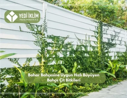 Bahar Bahçesine Uygun Hızlı Büyüyen Bahçe Çit Bitkileri