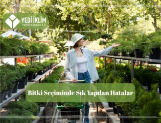 Bahçe bitkileri