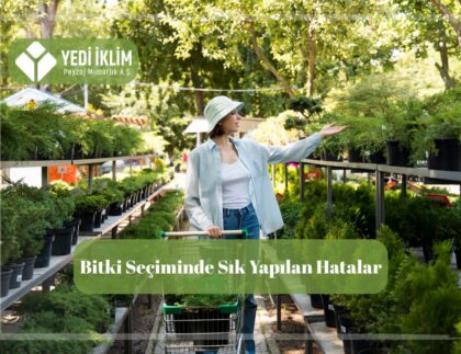 Bahçe bitkileri