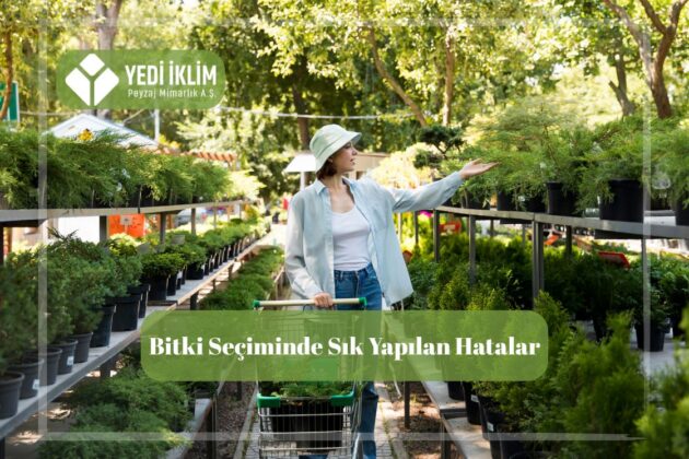 Bahçe bitkileri