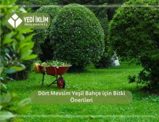 Dört Mevsim Yeşil Bahçe için Bitki Önerileri