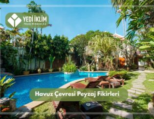Havuz Çevresi Peyzaj Fikirleri