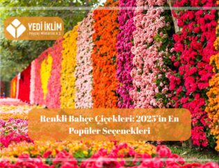 Renkli bahçe çiçekleri