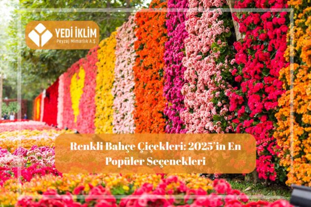 Renkli bahçe çiçekleri