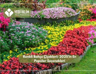Renkli Bahçe Çiçekleri 2025'in En Popüler Seçenekleri
