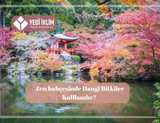 Zen Bahçesi