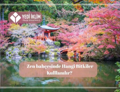 Zen Bahçesi