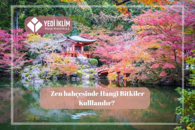 Zen Bahçesi