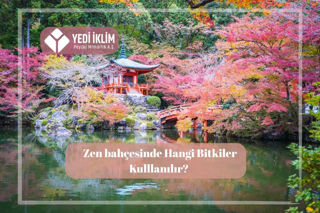 Zen Bahçesi