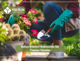 Bahçe Bitkileri Bakımında Sık Yapılan Hatalar