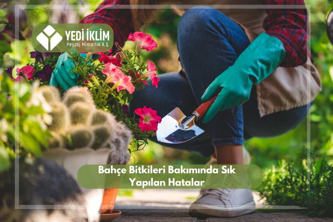 Bahçe Bitkileri Bakımında Sık Yapılan Hatalar